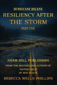 Hurricane Helene Resiliency After the Storm